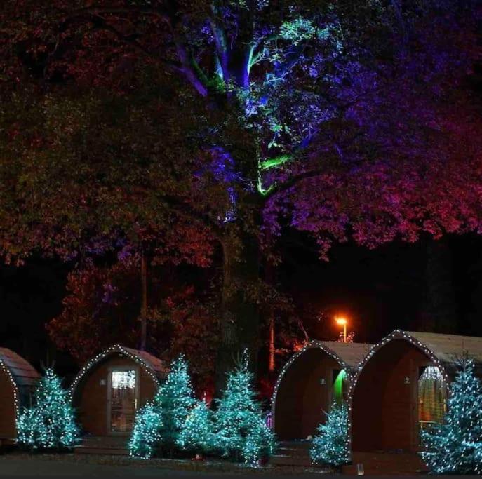 New Forest Lodge - 194 No Pets Fordingbridge Εξωτερικό φωτογραφία
