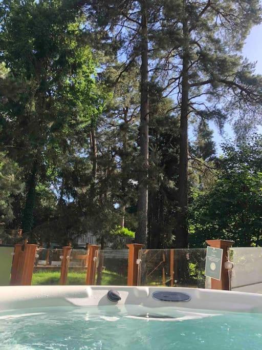 New Forest Lodge - 194 No Pets Fordingbridge Εξωτερικό φωτογραφία